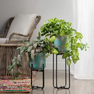 Crestview Collection Set of 2 Planter